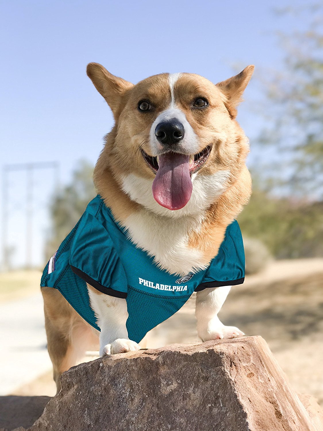 Pets First NFL Philadelphia EaglesLicensed Mesh Jersey for Dogs and Cats - Small