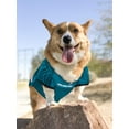 thumbnail image 5 of Pets First NFL Philadelphia EaglesLicensed Mesh Jersey for Dogs and Cats - Small, 5 of 7