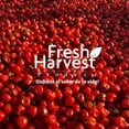 thumbnail image 3 of 1/4 Kilo De Chile Chiltepín Rojo Bolsa Fresh Harvest Fresh Harvest Sin conservadores, 3 of 3