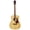 CONCERTPRO-NS, variant on Berkeley ELEMENTARY-M-OP Concert Cutaway Acoustic Guitar