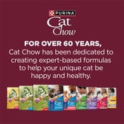 Purina Cat Chow Healthy Aging 7+ Senior Dry Cat Food, Chicken, 3.15 lb. Bag