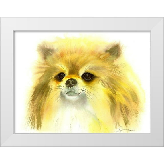 Shefranov, Olga 24x19 White Modern Wood Framed Museum Art Print Titled - Pomeranian
