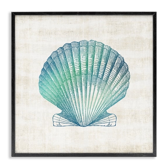 Stupell Industries Cottage Gradient Clam Seashell Black Framed Giclee Art, 12 x 12, by Susan Arnot