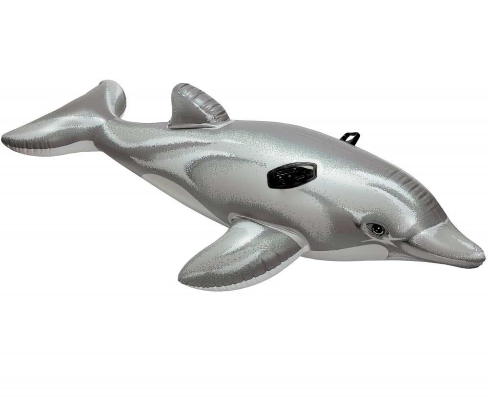 dolphin inflatable pool