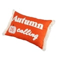 thumbnail image 3 of Almohada decorativa Way to celebrate Harvest Autumm is calling Anaranjado 43 cm, 3 of 4