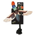 thumbnail image 1 of Jouet de lancement pour chien Fly & Fetch, 1 of 5