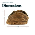 thumbnail image 5 of Ceramic Wood Plant Pot | Indoor Planter for Succulents & Flowers (Driftwood Clam Shell), 5 of 6