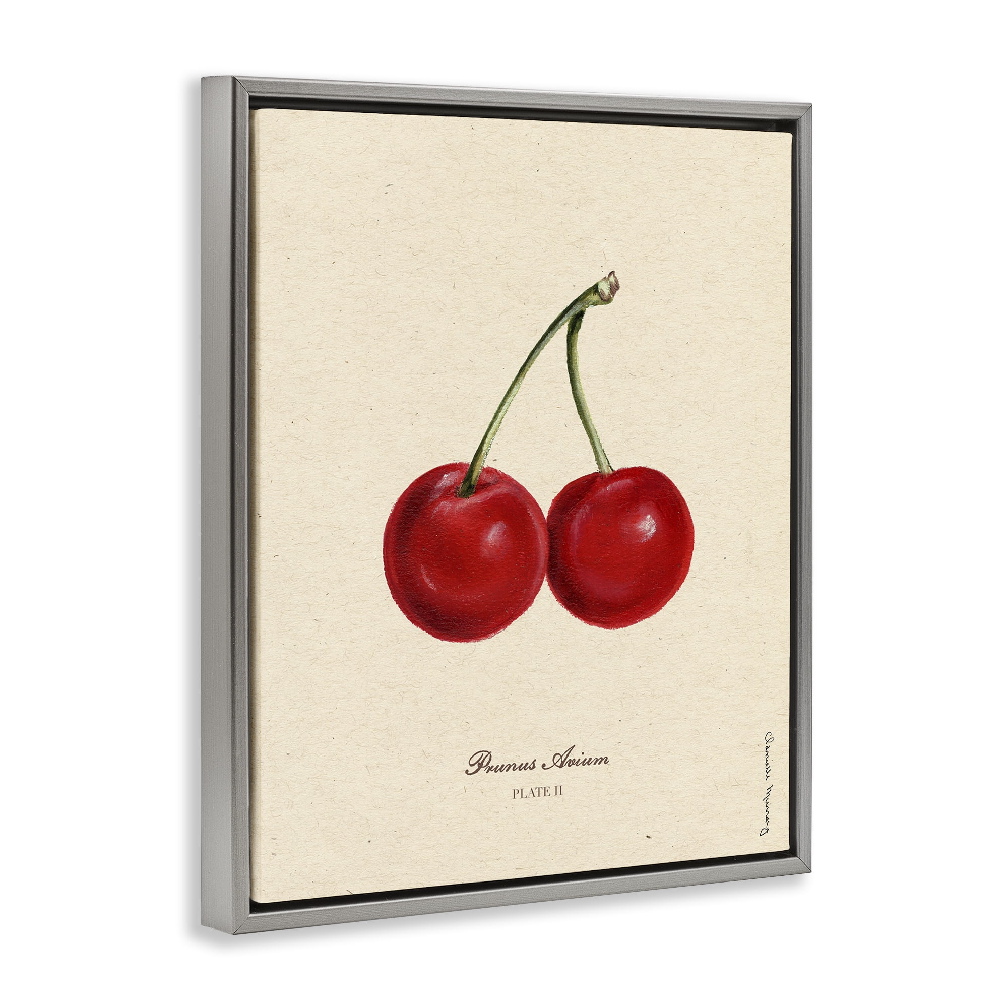 Stupell Industries Cherry Fruit Portrait Gray Framed Floater Canvas Wall Art, design by Danielle Murray