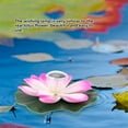 thumbnail image 1 of Color ChangingFlower Pool Lights - Solar Floating Waterproof LED Lamp, Ideal for Garden and Pond Decoration, 1 of 7