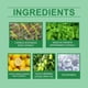 thumbnail image 3 of Aceite Cyperus Rotundus Natural para el Crecimiento del Cabello y la Salud de la Piel, 3 of 8