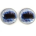 thumbnail image 3 of Blue Horse Glass Eyes, 3 of 6