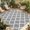 Gray, variant on Indoor Outdoor Area Rugs,250 Years of Freedom Washable Patio Rug Non-slip Quick Dry Camping Rugs,Bald Eagle Patriotic Stars Floor Carpet for Porch Deck Backyard RV Decor,4x6ft