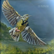 The Wildwoods - Dear Meadowlark - Music & Performance - CD