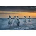 thumbnail image 2 of Vekemans, Muriel 24x17 White Modern Wood Framed Museum Art Print Titled - In The Waves, 2 of 4