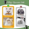 thumbnail image 5 of WuPing 2-Pack SUS 304 Stainless Steel Cat/Dog Food Bowls, Shallow Whisker-Friendly Non-Slip Silicone Base 6.7", 5 of 7