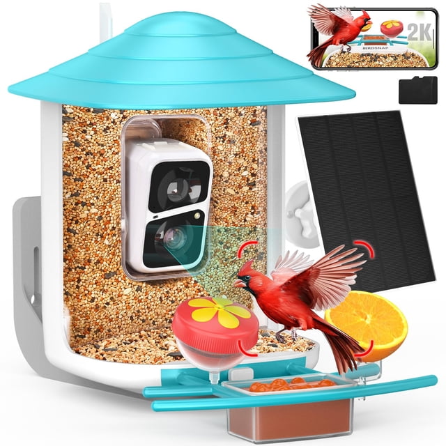 Comedero para pájaros Birdsnap TUC 2K HD, cámara solar AI de 32 GB