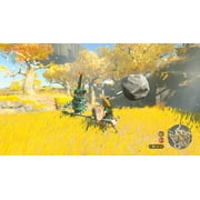 The Legend of Zelda: Tears of the Kingdom - Nintendo Switch, Nintendo Switch ...