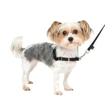 PetSafe Easy Walk Dog Harness, No Pull Leash, prevents from Choking on Walks, Black, P/S