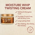 thumbnail image 3 of Creme of Nature Argan Oil From Morocco Twist & Curl Pudding Curl Enhancing Creme, 11.5 fl oz, 3 of 7