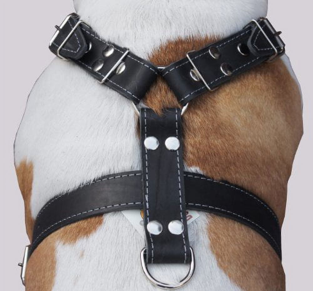 Black Genuine Leather Dog Harness, Large to XLarge. 35"-39" Chest, 1.5" Wide Straps, Great Dane Cane Corso