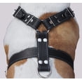 thumbnail image 3 of Black Genuine Leather Dog Harness, Large to XLarge. 35"-39" Chest, 1.5" Wide Straps, Great Dane Cane Corso, 3 of 3