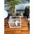 Arboreal Reptile Insect Breeding Box - 1-Pack Transparent Acrylic ...