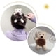thumbnail image 2 of 2x Hair Ties Cute Bear Cintas de Algodón Esponjosas para Mujeres Y Niñas Caramelo Azul Gris Yuyangstore Cintas para el pelo, 2 of 8