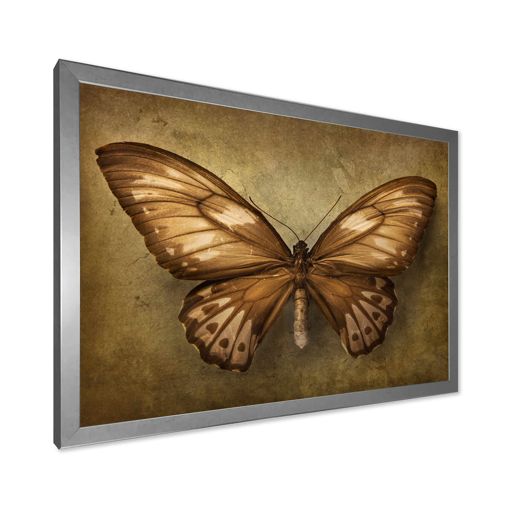 Designart 'Ancient Butterfly In Earth Tones' Vintage Framed Art Print