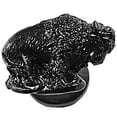 thumbnail image 1 of Sierra Lifestyles Western Southwestern Novelty Knob, 1 of 4