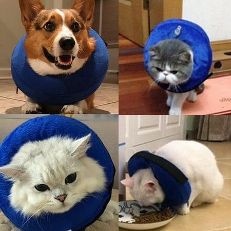 Collier De Recuperation Pour Animaux De Compagnie Collier De Protection Reglable Reglable Gonflable Pour Animaux De Compagnie Pour Chat Chien Walmart Canada Collier De Recuperation Pour Animaux De Compagnie Collier De Protection Reglable Reglable Gonflable Pour Animaux De Compagnie Pour Chat Chien Walmart Canada