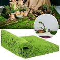 thumbnail image 2 of House Carpet Living Room Couch Throw Bryophyte Wall Shop Window Landscaping False Moss Bonsai Micro Decoration False Moss Immortal Moss Full Size Blanket Warm Power Throw Blanket, 2 of 9