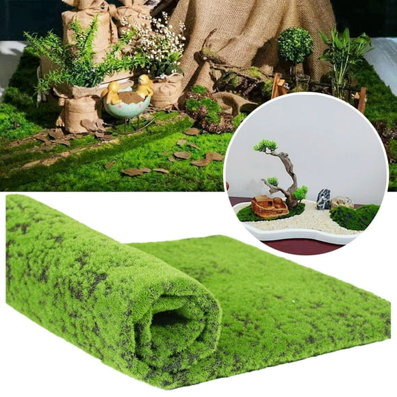 Riforla Bryophyte Wall Shop Window Landscaping False Moss Bonsai Micro Decoration False Moss Immortal Moss Carpet Green