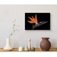 thumbnail image 3 of wall26 Canvas Wall Art A Full Bloom Orange, Blue and Pink Bird of Paradise Floral Flower Photography Modern Art Romantics Closeup Colorful for Living Room, Bedroom, Office, 3 of 5