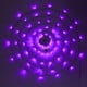 thumbnail image 1 of Web Lights Decoración 60Led Light Up Black Spider Web Impermeable Naranja Luces Para Party Yard Bar Haunted House Window Decor Minnieouse HA045712-02, 1 of 6