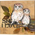 thumbnail image 3 of Great Art Now Little Owls by Patricia Pinto 2 Piece Canvas Art Set Each 14W x 14H, 3 of 3
