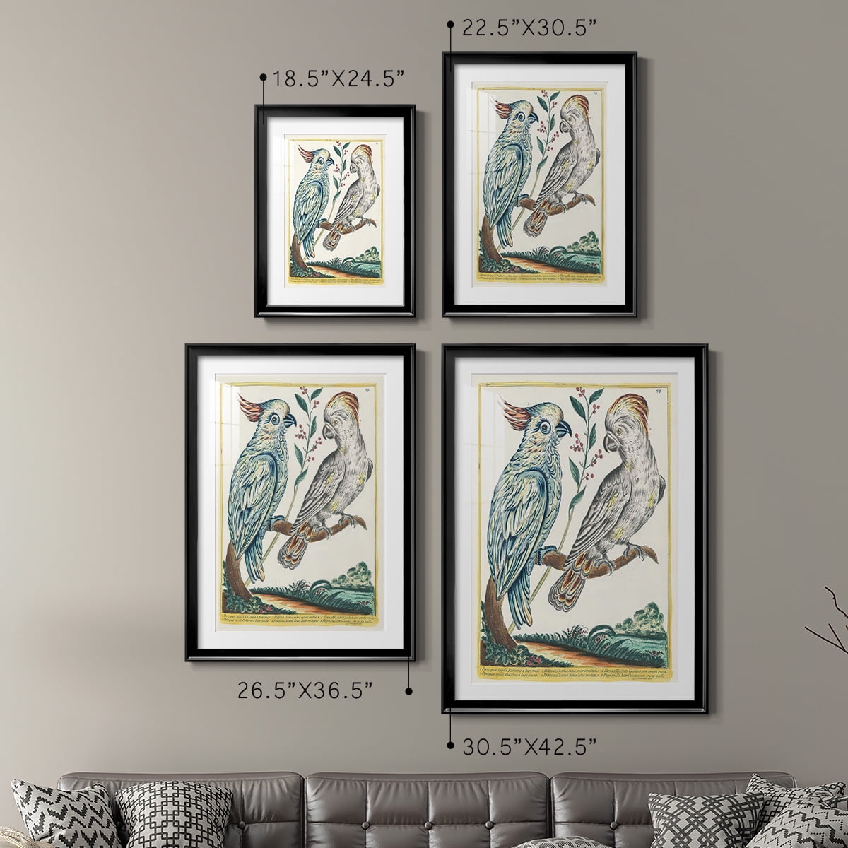 Wexford Home Pastel Birds I Premium Framed Print, 18.5" x 24.5" - Ready to Hang, Black (Set of 2)