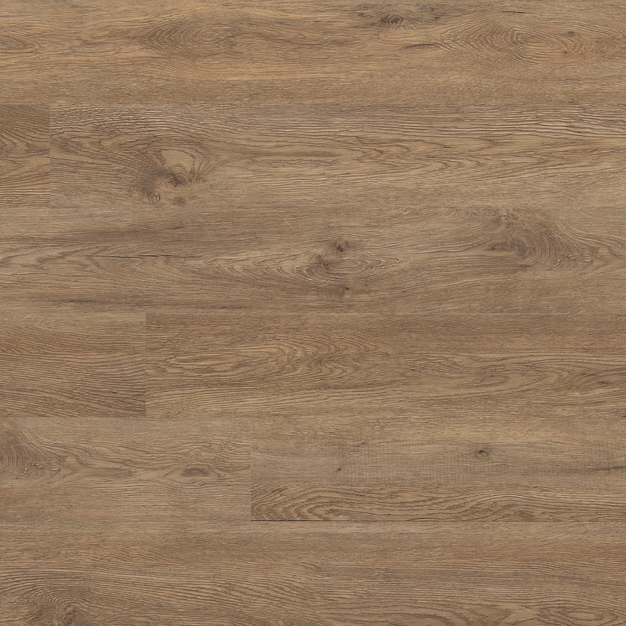 MSI Bayshore Savanna 6 in. x 48 in. Gluedown Luxury Vinyl Plank Flooring (36 sq. ft. / case)