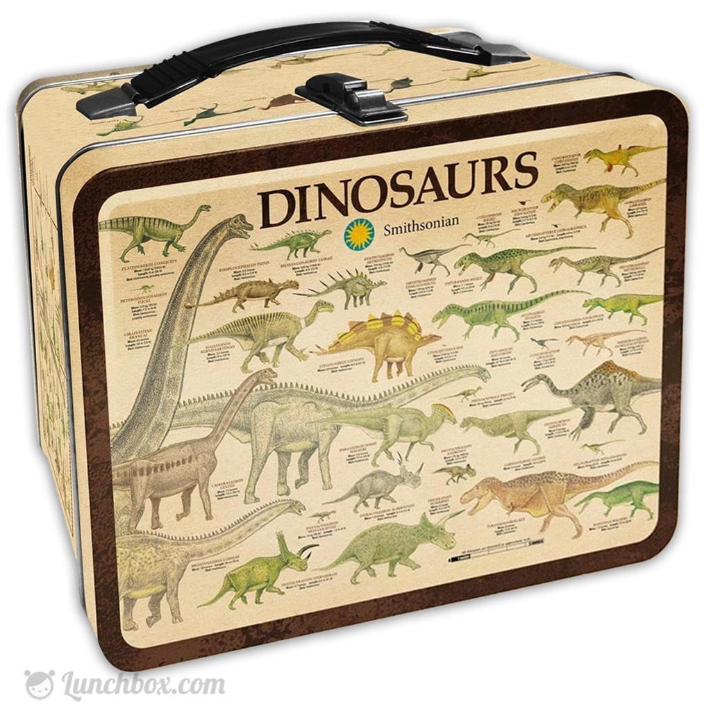 dinosaur pack lunch box