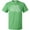 Kelly Green, variant on I Hate Fantasy Football T-Shirt