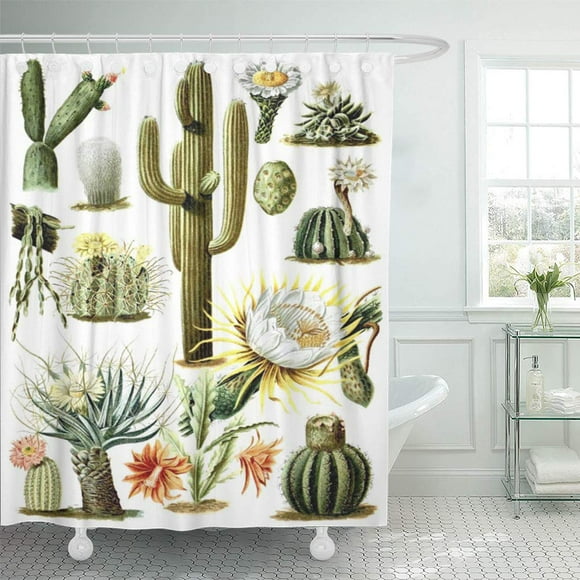 SUTTOM Plant Vintage Cactus Botanical Antique Cacti Saguaro Desert Shower Curtain 60x72 inch