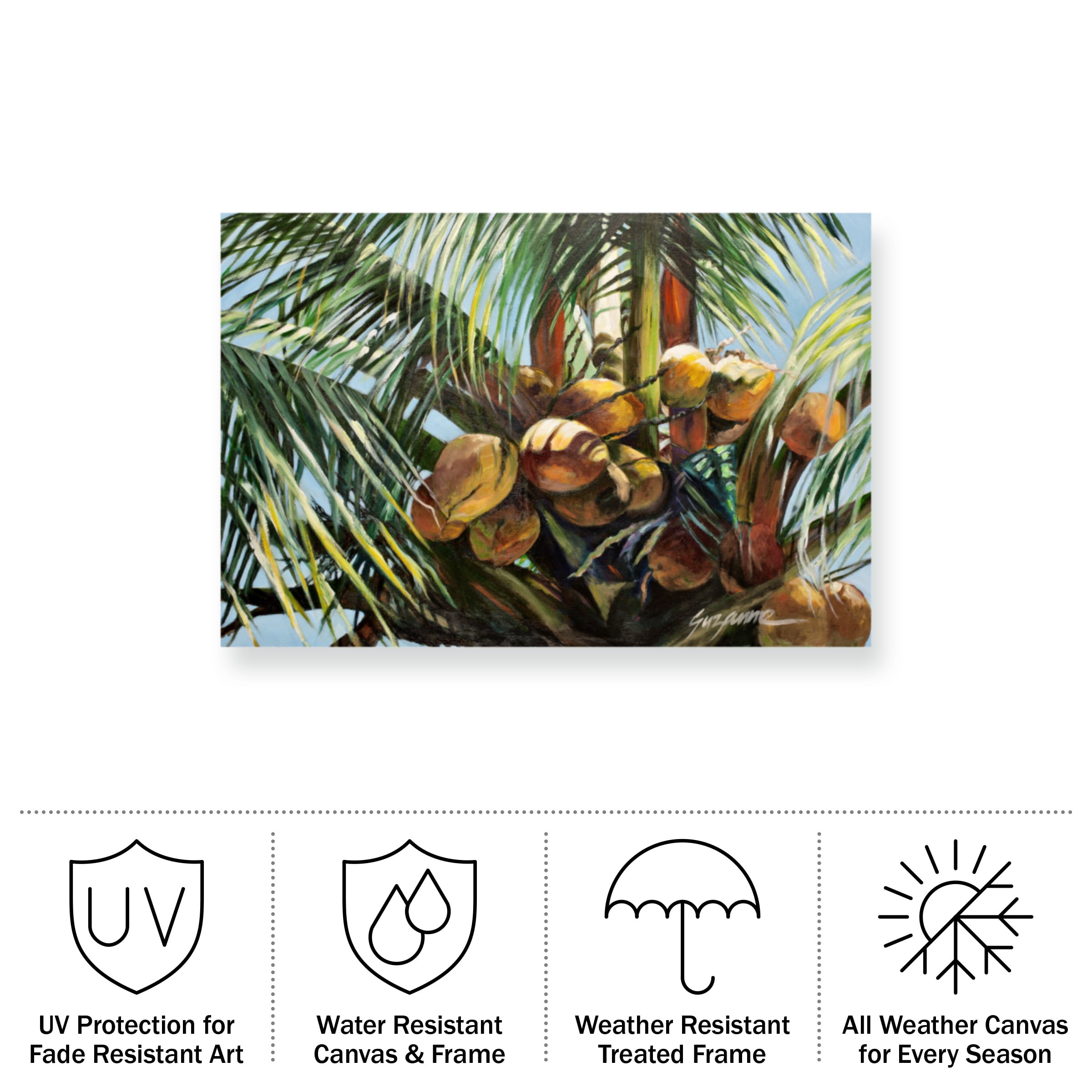 Suzanne Wilkins 'Los Cocos' Outdoor Canvas 16x18