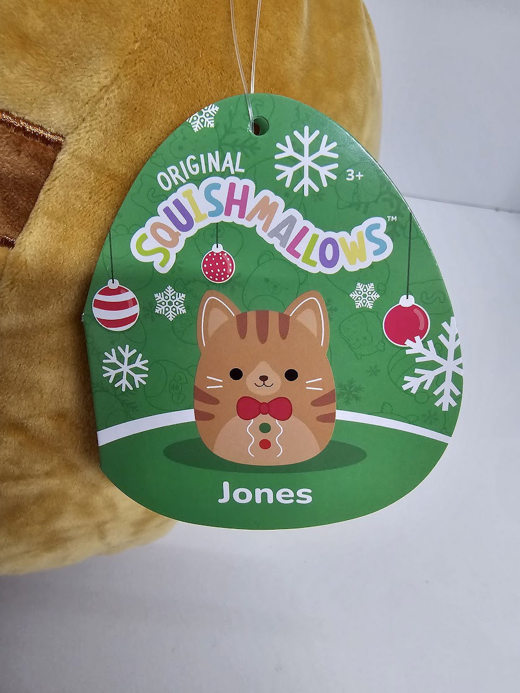 Second squish! Jones the Gingerbread Cat : r/squishmallow
