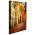 thumbnail image 2 of Trademark Fine Art "Yellow Moment" Canvas Art by Philippe Sainte-Laudy, 2 of 3