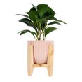 thumbnail image 5 of Better Homes & Gardens 11” x 4.4” Artificial Peperomia Plant in Pink Ribbed Ceramic Pot With Wooden Stand, 5 of 10
