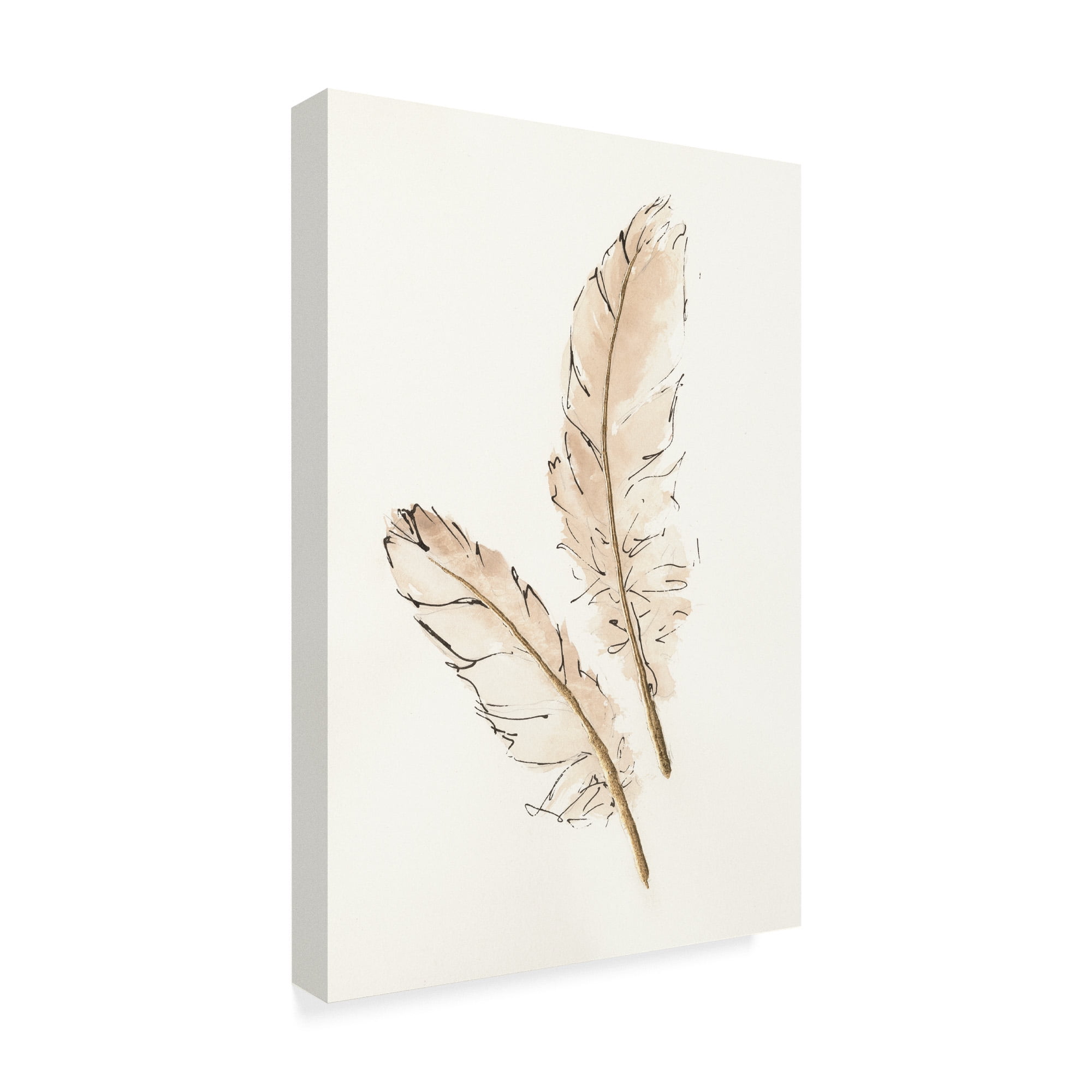 Pure Gold Feather VI Giclee Stretched Canvas Artwork 20 x 30 Global Gallery Chris Paschke
