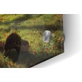 thumbnail image 2 of Epic Art 'The Star' by Martin Podt, Acrylic Glass Wall Art, 36"x24", 2 of 5
