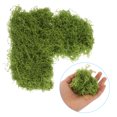 thumbnail image 3 of Shisuyan Moss Decoration for Offices 1 Set, 3 of 8