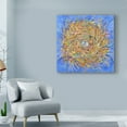 thumbnail image 3 of Trademark Fine Art 'Nest Vortex' Canvas Art by Sharon Pitts, 3 of 3