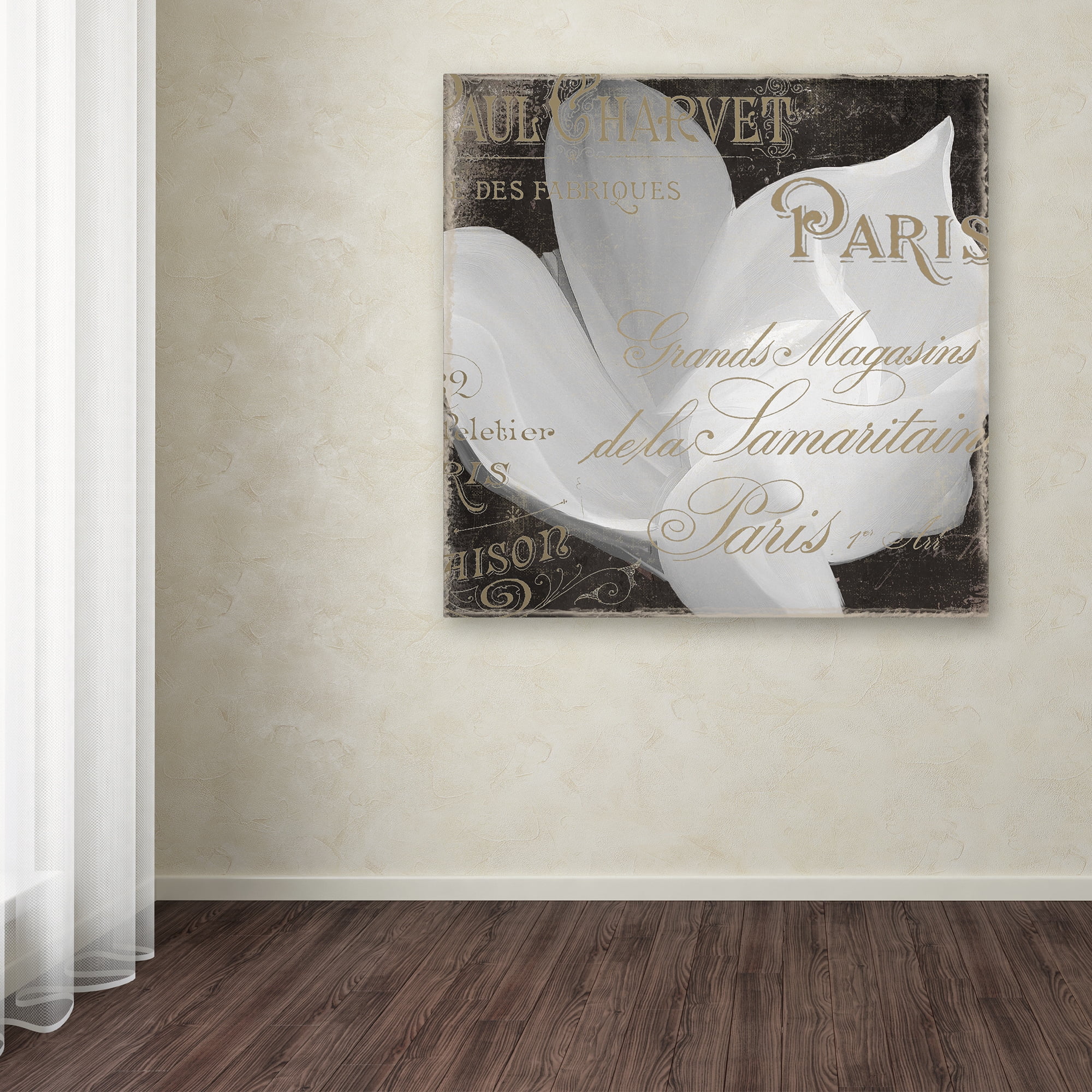 Trademark Fine Art "Fleurs Blanc II" Canvas Art by Color Bakery