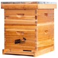 thumbnail image 1 of Kit de inicio de colmenas para abejas MayBee de 10 marcos con suministros, 1 of 7